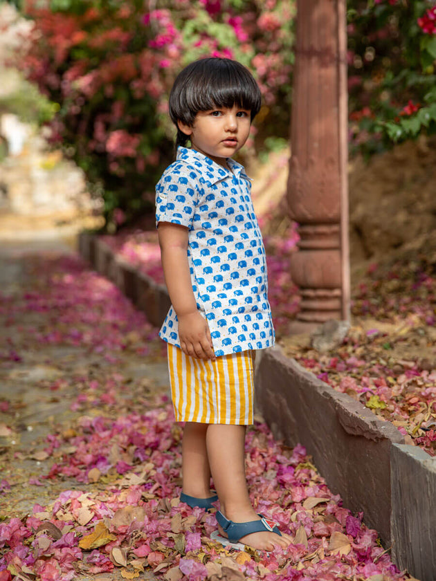 Set of 2 - Haathi Mere Saathi Shirt & Shorts | Pinklay