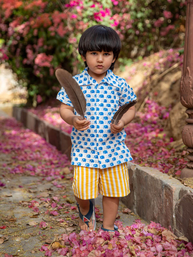Set of 2 - Haathi Mere Saathi Shirt & Shorts | Pinklay